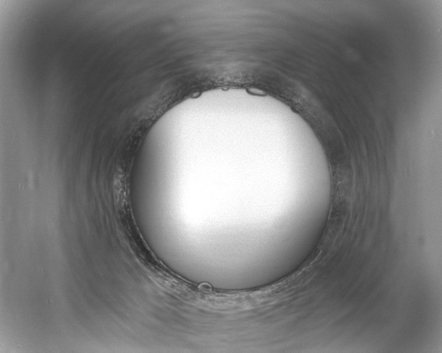 X0000060810029200512011812