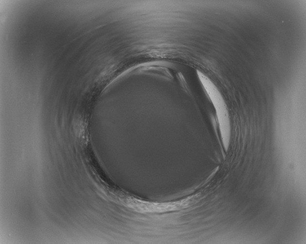 X0000060810031200512011812