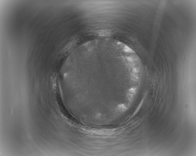 X0000060810032200512011812