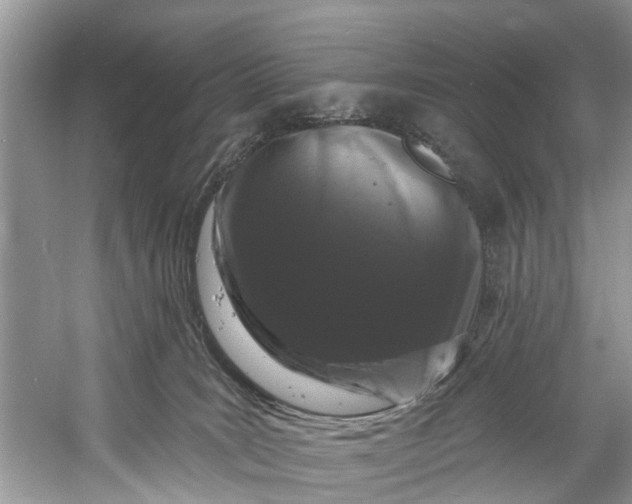 X0000060810035200512011812