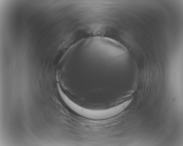 X0000060810039200512011812
