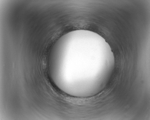 X0000060810040200512011812