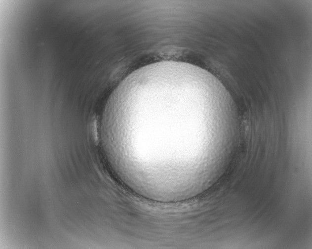 X0000060810042200512011812