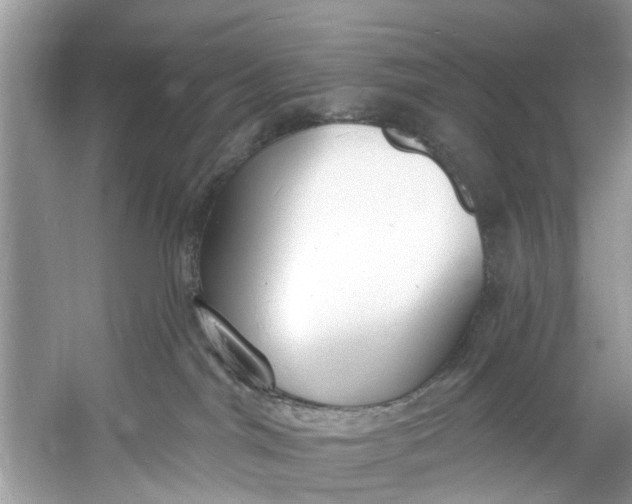 X0000060810044200512011812
