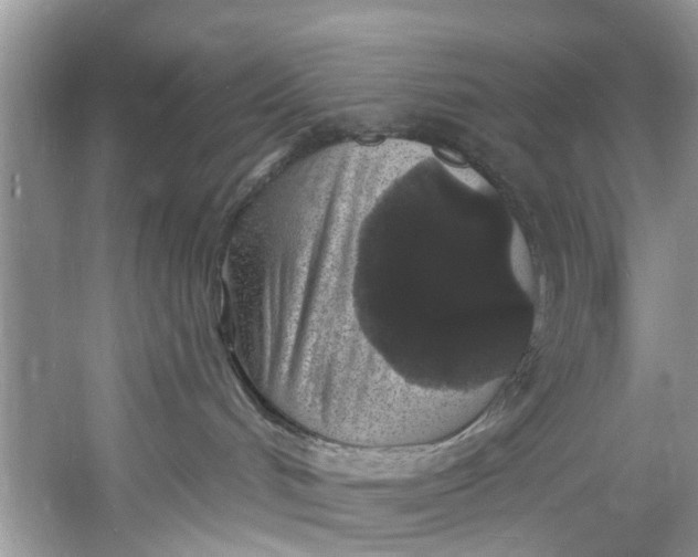 X0000060810048200512011812