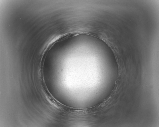 X0000060810050200512011811