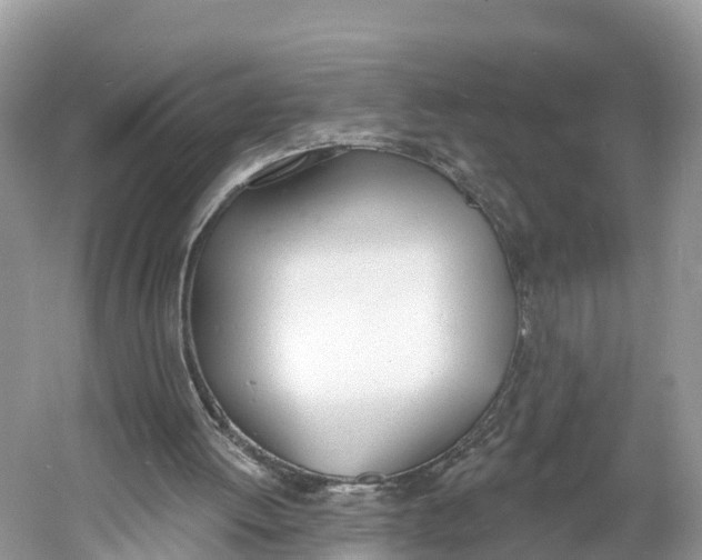 X0000060810052200512011811