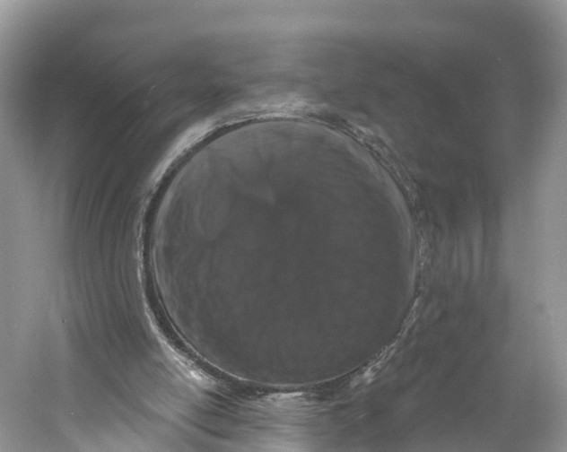 X0000060810054200512011811