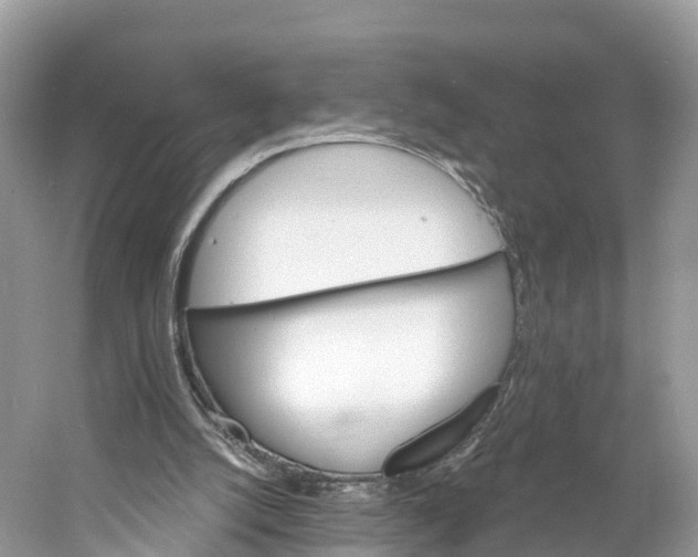 X0000060810056200512011811
