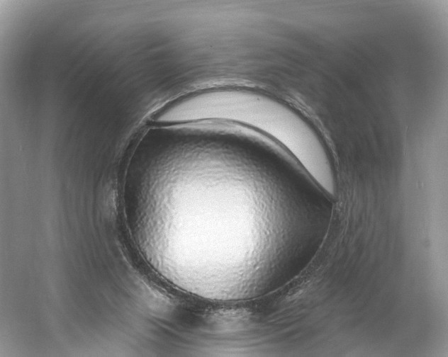 X0000060810063200512011811