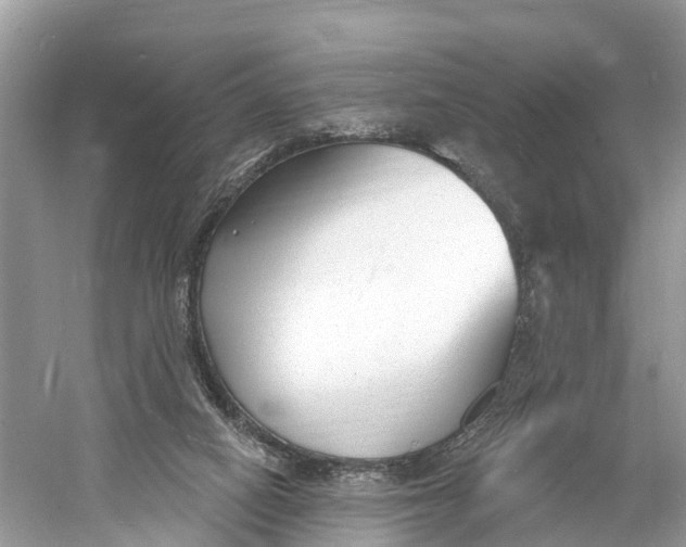 X0000060810066200512011811