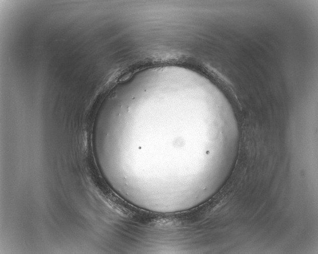 X0000060810067200512011811