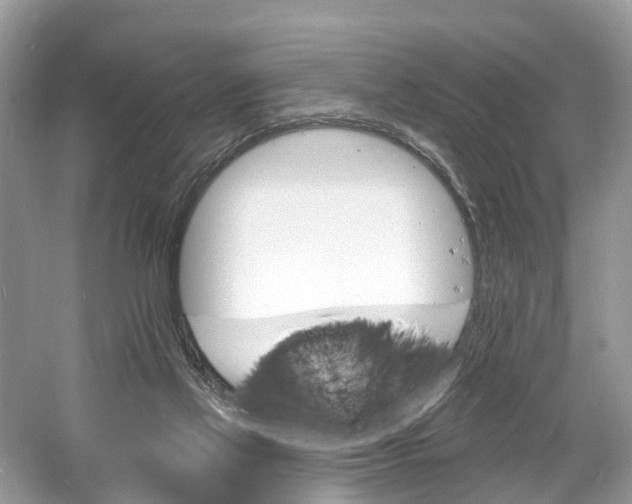 X0000060810069200512011811