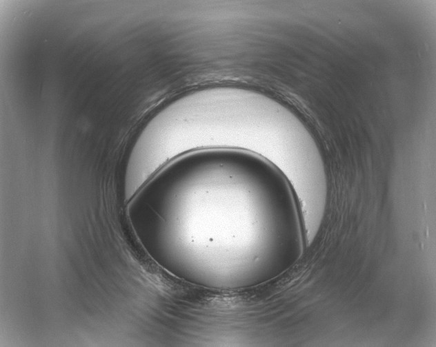 X0000060810071200512011811