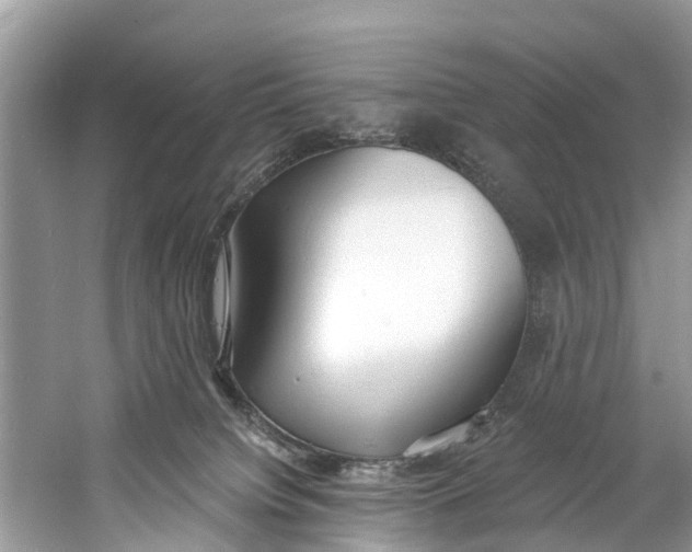 X0000060810084200512011811