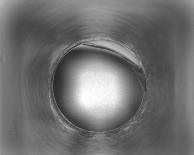 X0000060810097200512011811