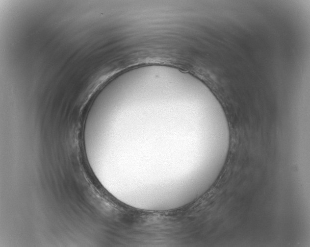 X0000060810098200512011811