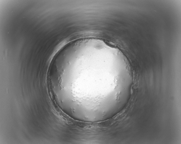 X0000060810099200512011811