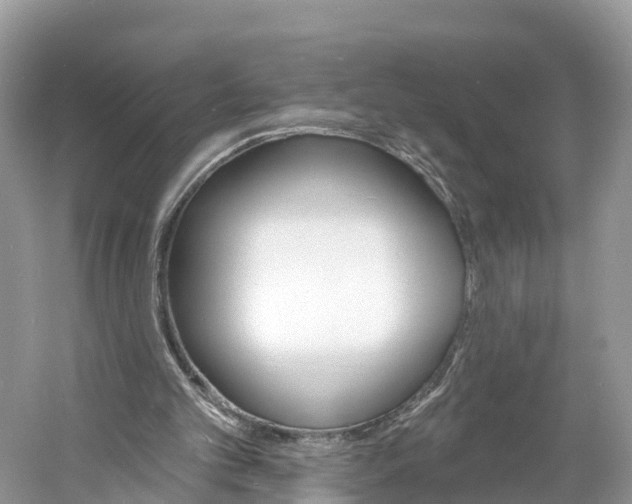 X0000060810101200512011811