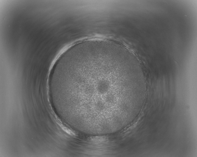 X0000060810102200512011811
