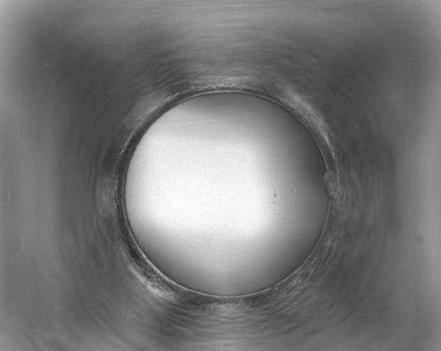 X0000060810107200512011811