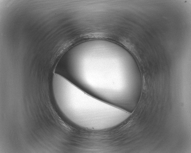 X0000060810109200512011811