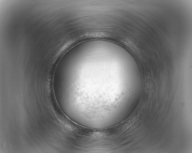 X0000060810111200512011811
