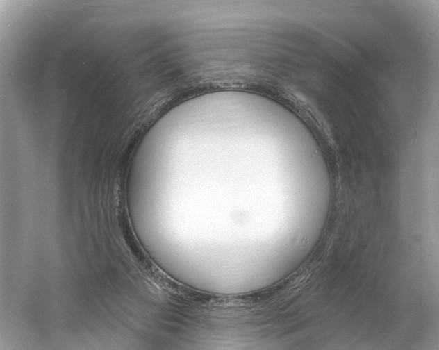 X0000060810113200512011811