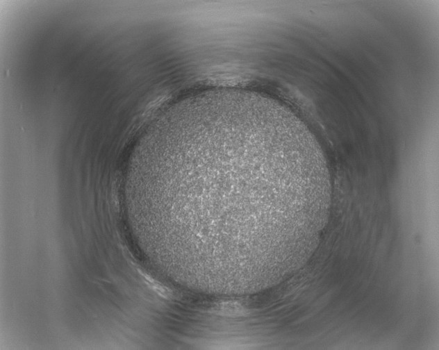 X0000060810114200512011811