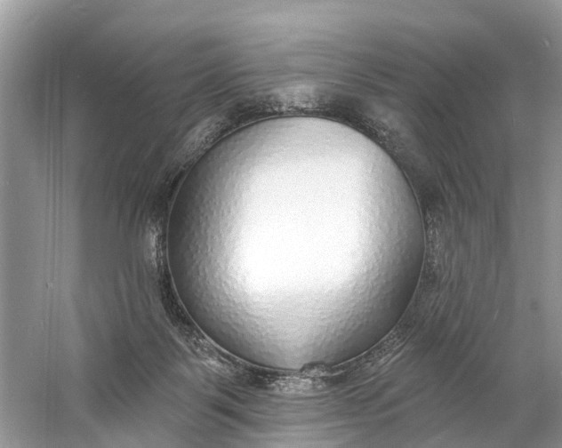 X0000060810123200512011810
