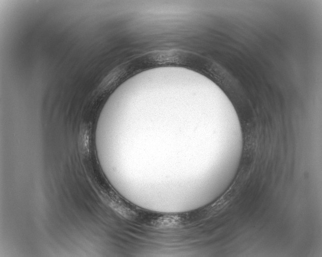 X0000060810124200512011810