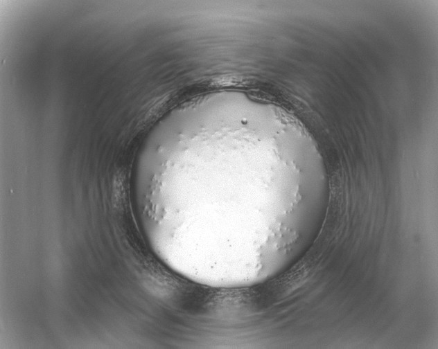X0000060810127200512011810