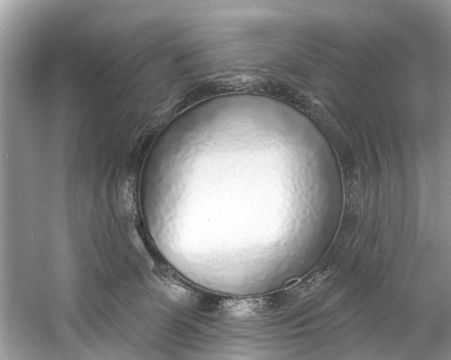 X0000060810131200512011810