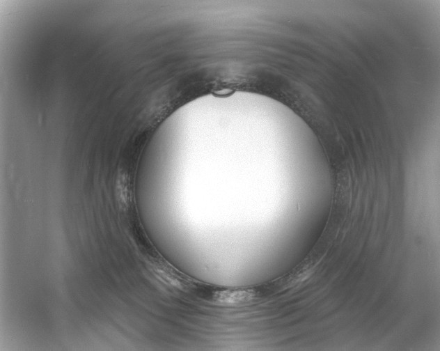 X0000060810135200512011810