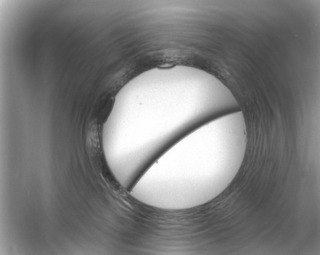 X0000060810137200512011810