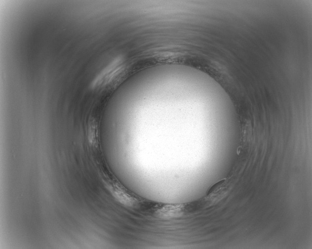 X0000060810138200512011810