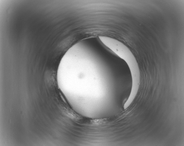 X0000060810141200512011810