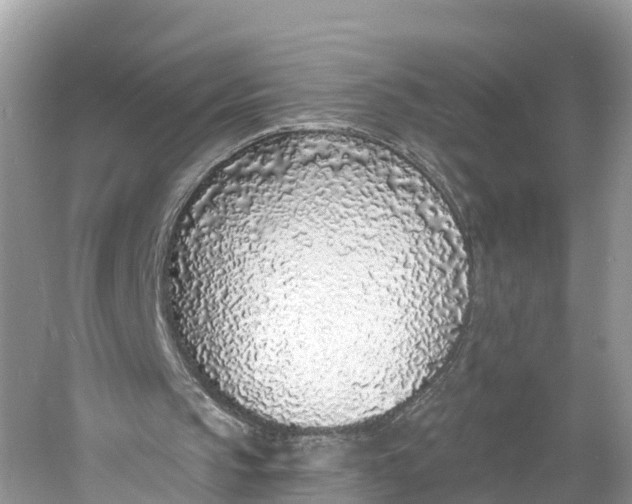 X0000060810145200512011809