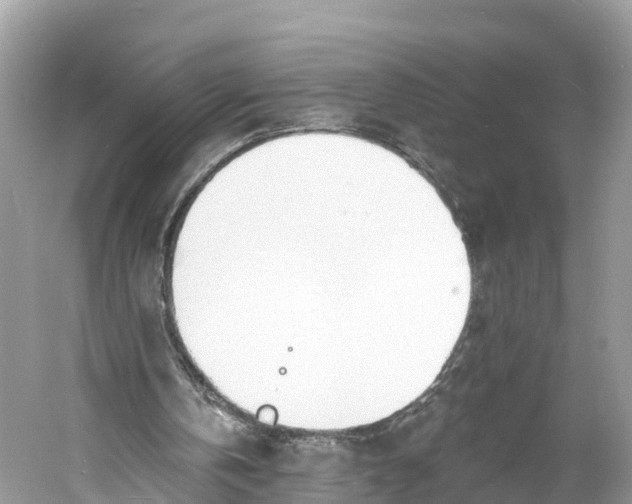 X0000060810146200512011809
