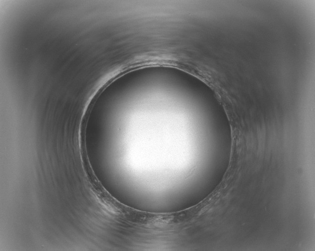 X0000060810148200512011809