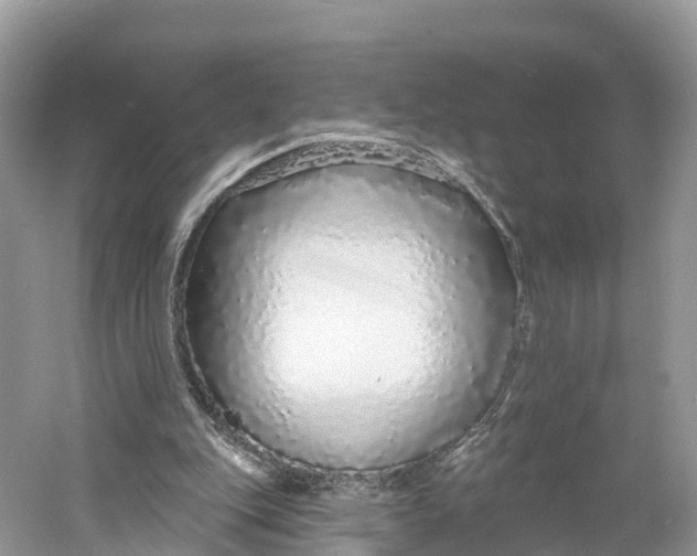 X0000060810151200512011809