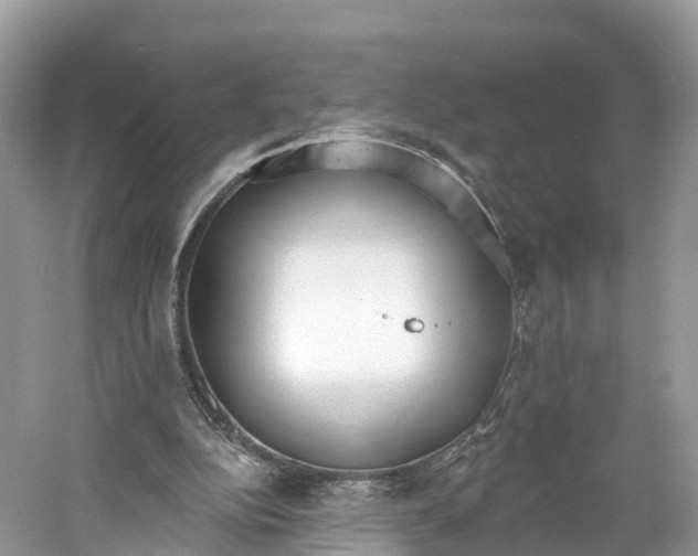 X0000060810152200512011809