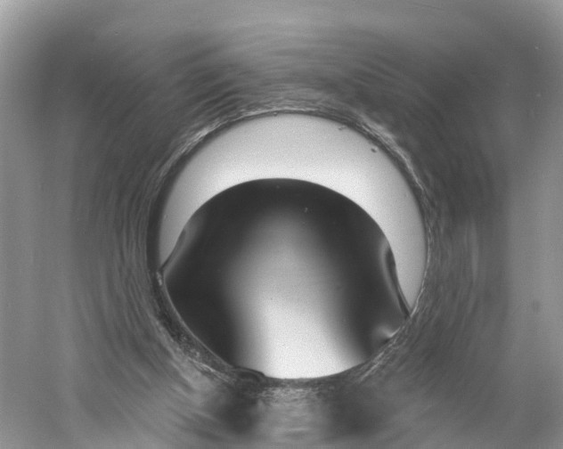 X0000060810154200512011809