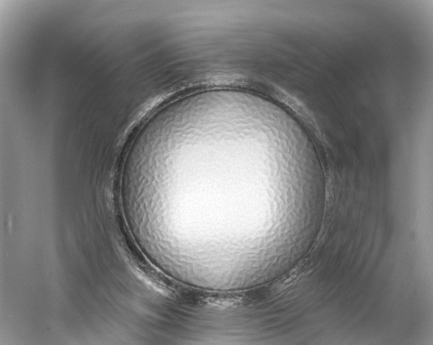 X0000060810155200512011809