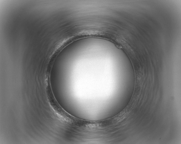X0000060810160200512011809