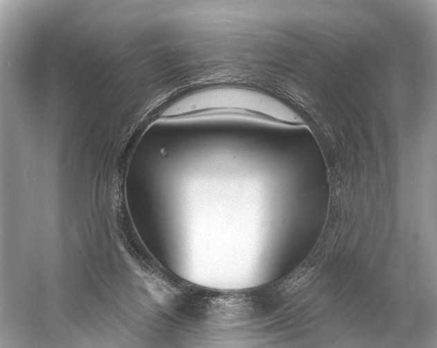 X0000060810164200512011809