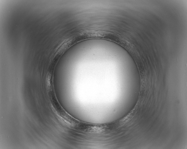 X0000060810166200512011809