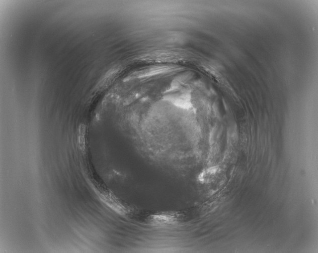 X0000060810167200512011809