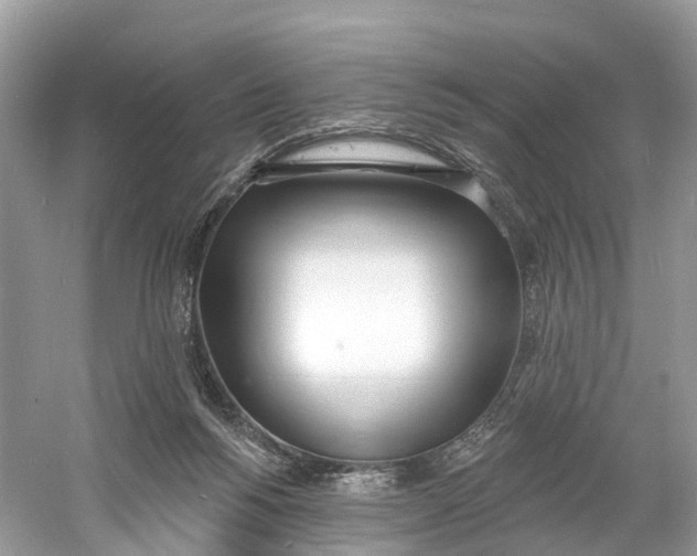 X0000060810168200512011809