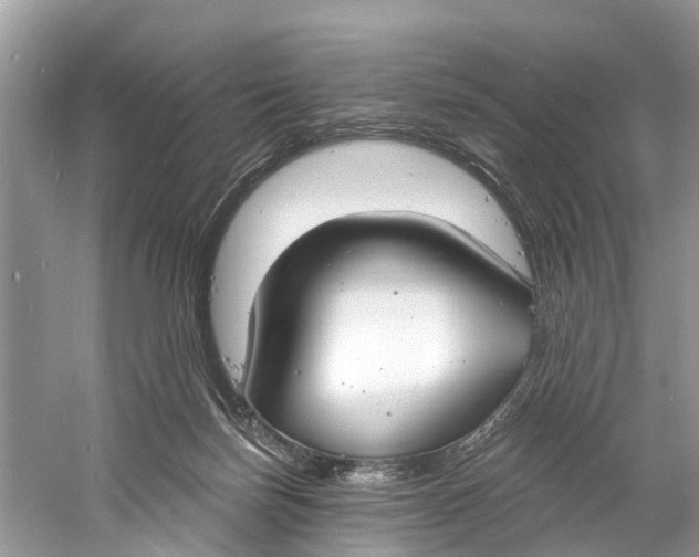 X0000060810171200512011810